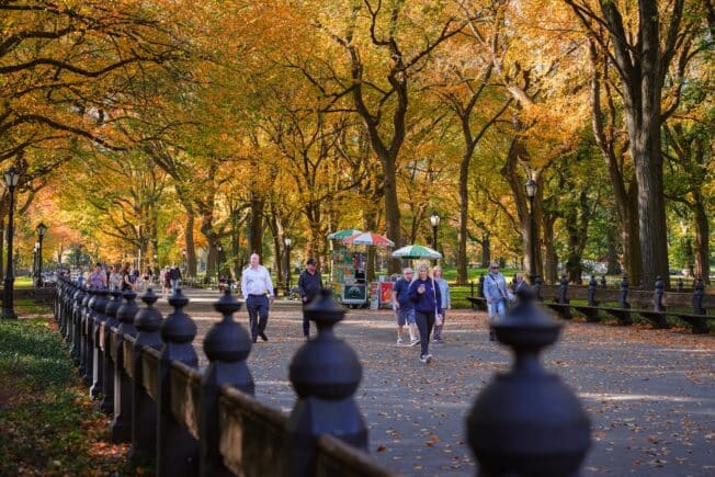A group of people walking down a street next to trees in Central Park