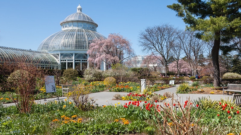 New York Botanical Garden