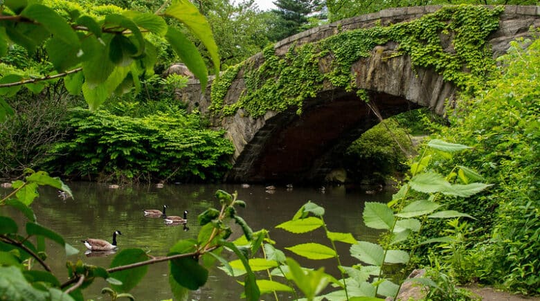 Gapstow Bridge