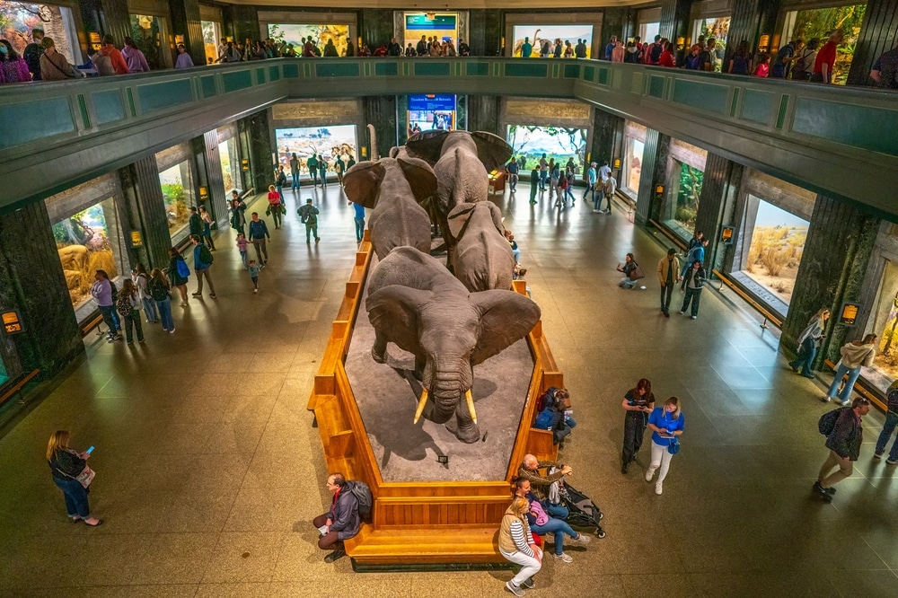 The American Museum of Natural History Interior Exhibit