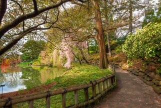 New York Botanical Garden Walkway