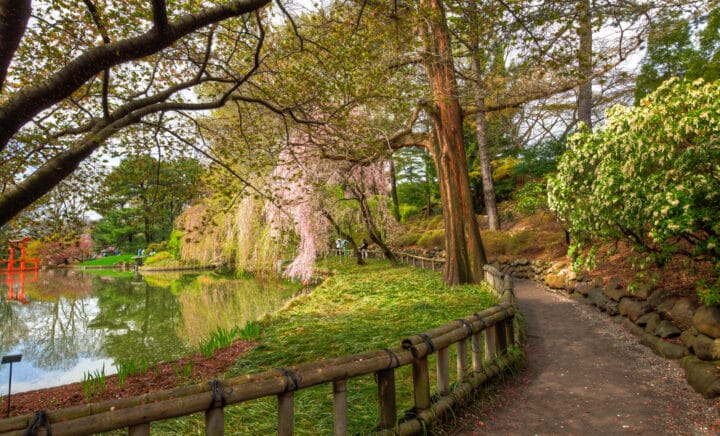 New York Botanical Garden Walkway