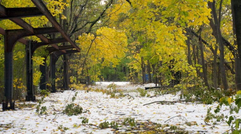 View of the Old Putnam trail where the railroad ran in Van Cortlandt Park