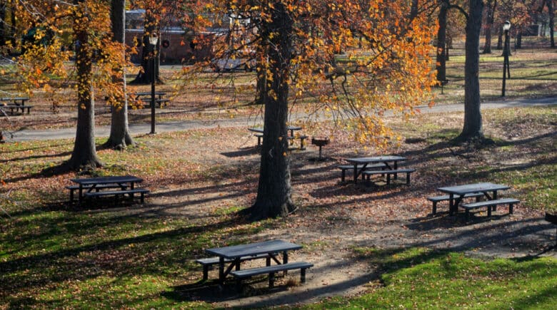 Picnic tables beneath trees in fall foliage on a sunny November day.