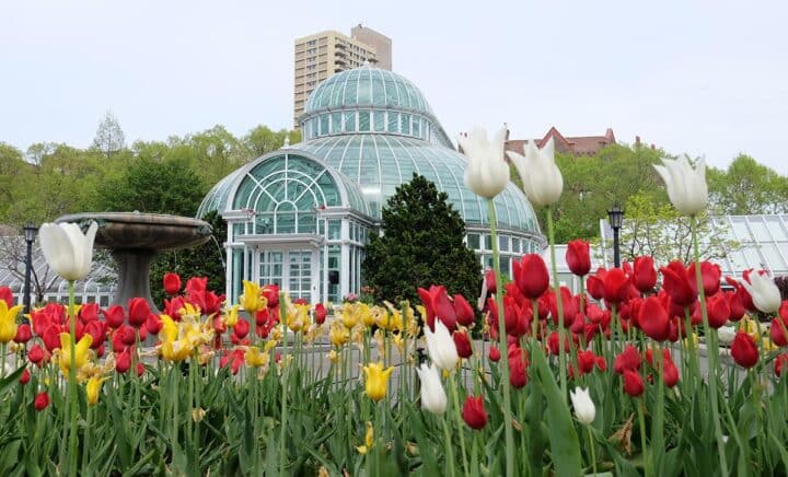 Botanic Gardens with colorful tulips