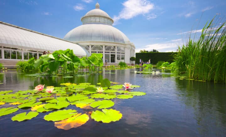 BRONX, NY - JUNE 1: Water Lilly Pond at conservatory in New York Botanical Garden in the Bronx, NYC on June 1, 2012. The Victorian greenhouse is an architectural centerpiece at this 250 acre garden.