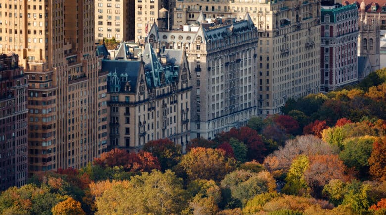 Afternoon light on Central Park's treetops and Upper West Side buildings