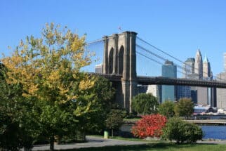 Foliage along the East River. Brooklyn Bridge and Lower Manhattan