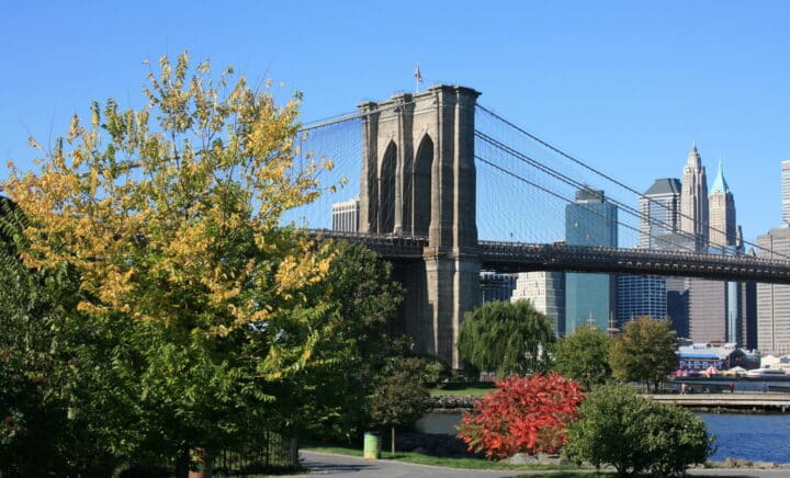 Foliage along the East River. Brooklyn Bridge and Lower Manhattan