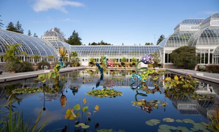 Bronx, NY - October 28,2021: NY BOTANICAL GARDEN. Shown Here is Hymn of Life - Tulips