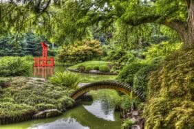 Japanese Hill and Pond Garden at Brooklyn Botanical Gardens