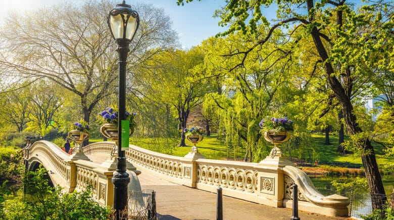 Bow bridge in Central park at sunny day