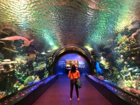 New York Aquarium in Coney Island, NY