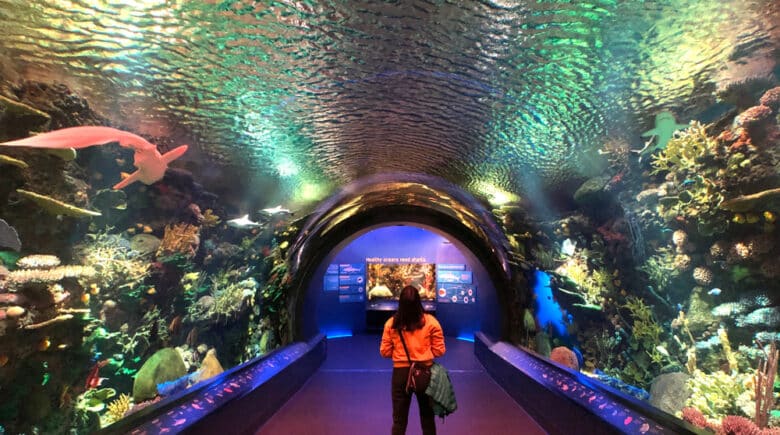 New York Aquarium in Coney Island, NY