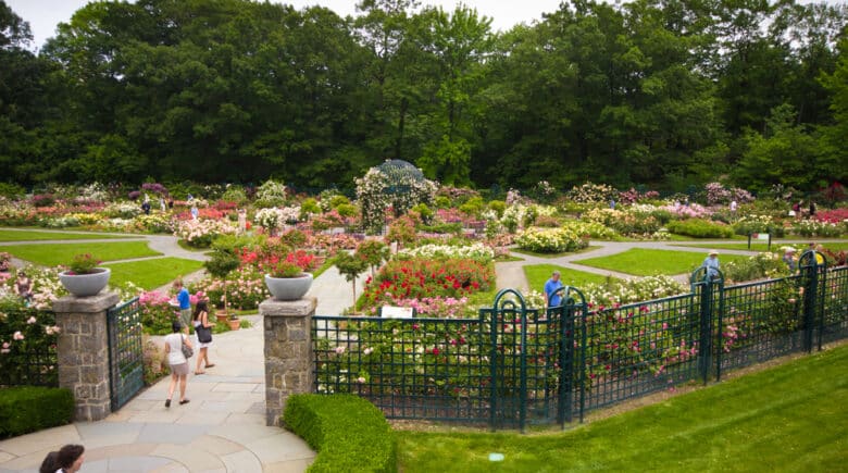 Peggy Rockefeller Rose Garden at the New York Botanical Garden in Bronx,