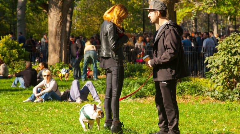 Scenes from The 24th Annual Tompkins Square Halloween Dog Parade