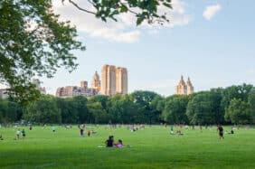 Sheep Meadow at Central Park in Manhattan