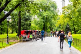 Central Park is an urban park in Manhattan. Popular destination for tourists
