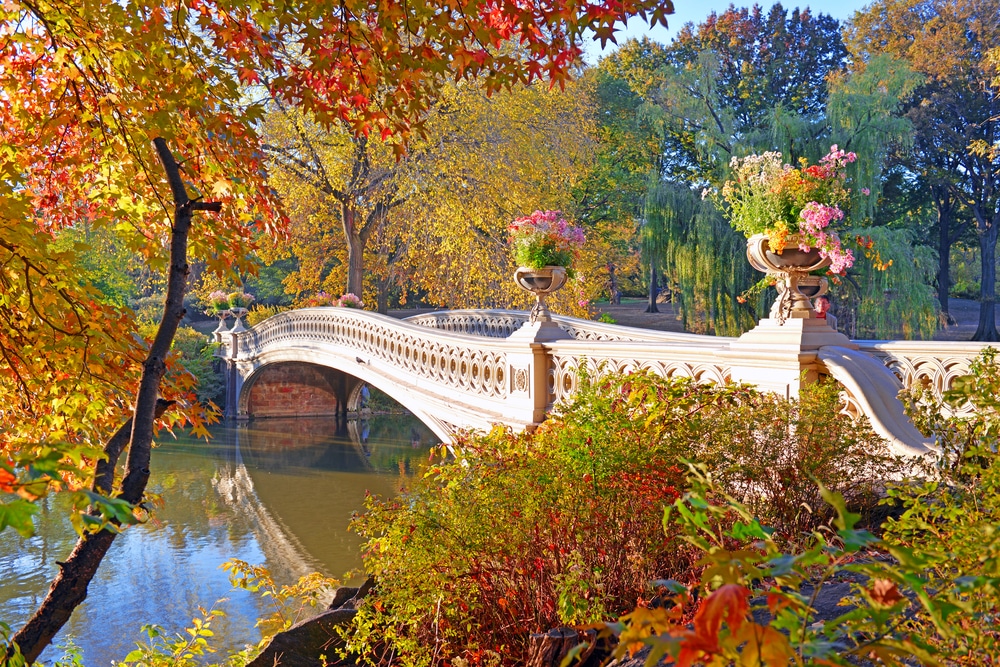 Fall foliage in Central Park, Manhattan