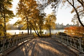 Gothic bridge autumn scenery in Central Park