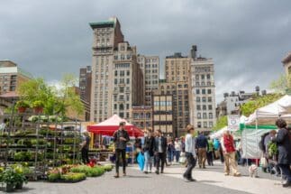 Scene from the Union Square Greenmarket in New York City