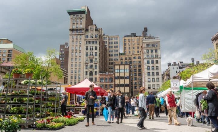 Scene from the Union Square Greenmarket in New York City