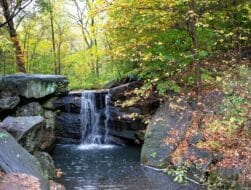 There are five waterfalls in Central Park, and all are completely man-made. This one is situated in the Ravine, the stream valley section of Central Park