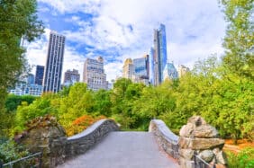 View of Central Park in New York City in autumn