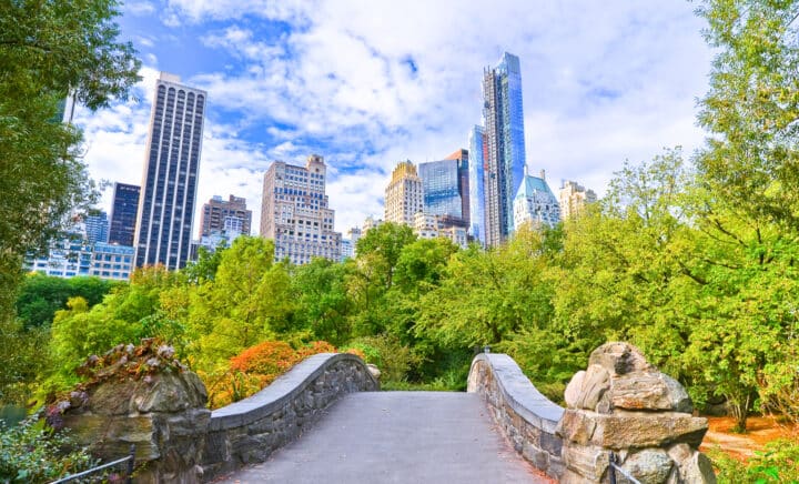 View of Central Park in New York City in autumn