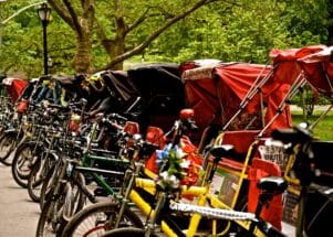 A fast way to tour Central Park in New York is riding a bicycle carriage with a tour guide
