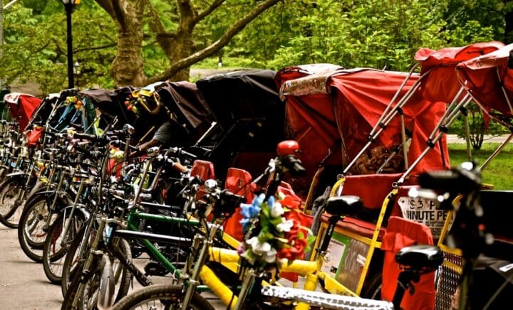 A fast way to tour Central Park in New York is riding a bicycle carriage with a tour guide