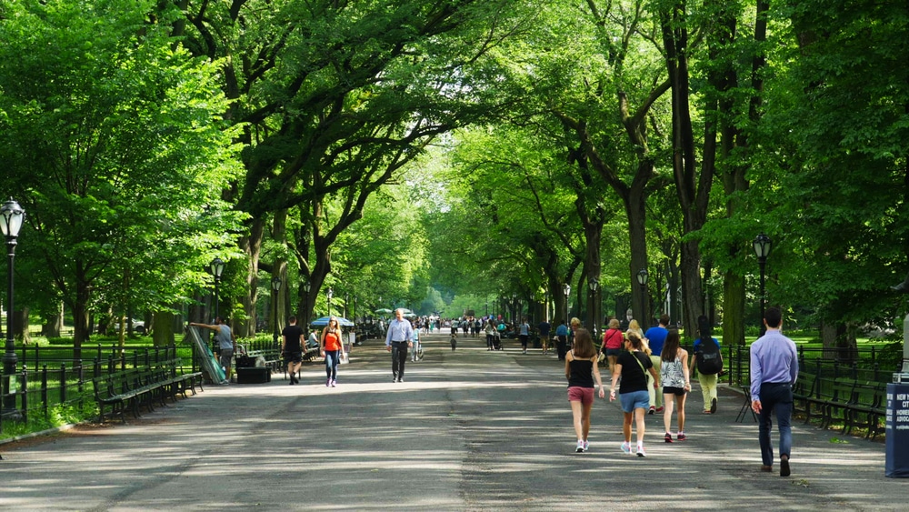 People walking in Central Park