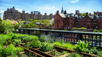 A scenic view of an urban public park on a historic freight rail line in New York City, featuring pathways and greenery.