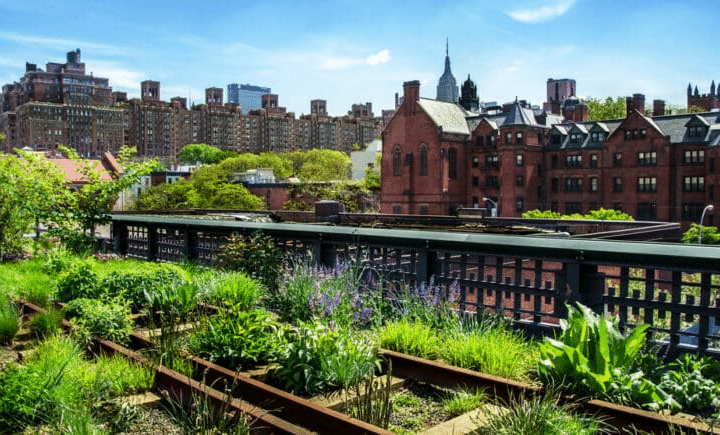 A scenic view of an urban public park on a historic freight rail line in New York City, featuring pathways and greenery.