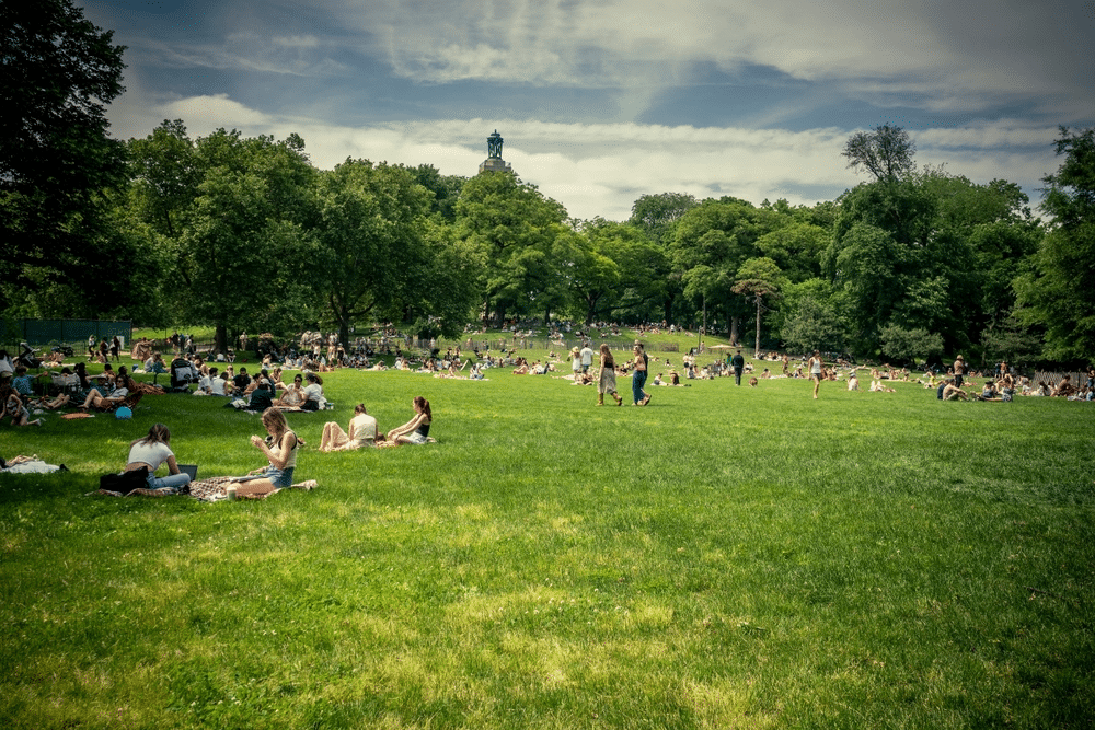 Fort Greene Park