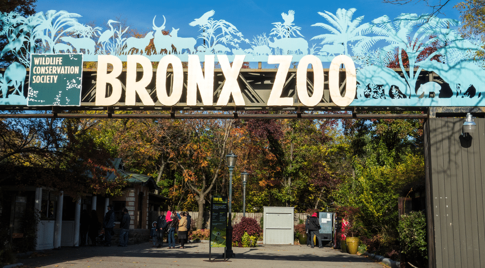 The Bronx Zoo