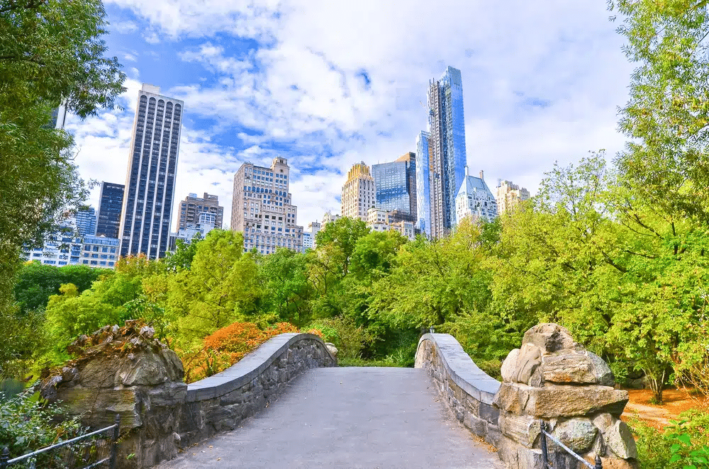 A bridge with stone sides leading to thick foliage in Central Park, NYC, with skyscrapers seen beyond it against a bright blue cloudy sky