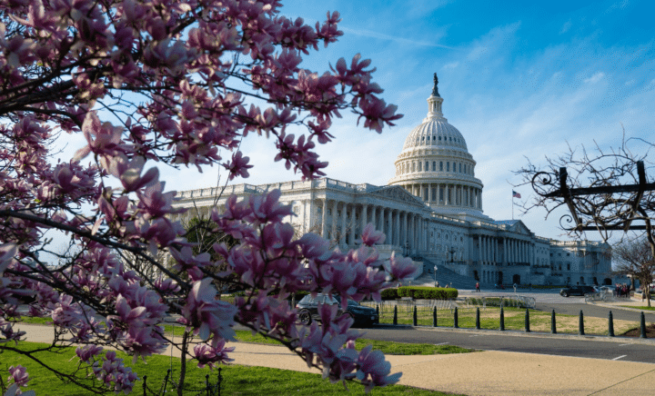 The Capitol Building