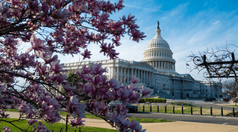 The Capitol Building