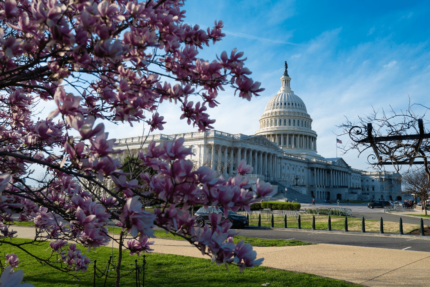The Capitol Building