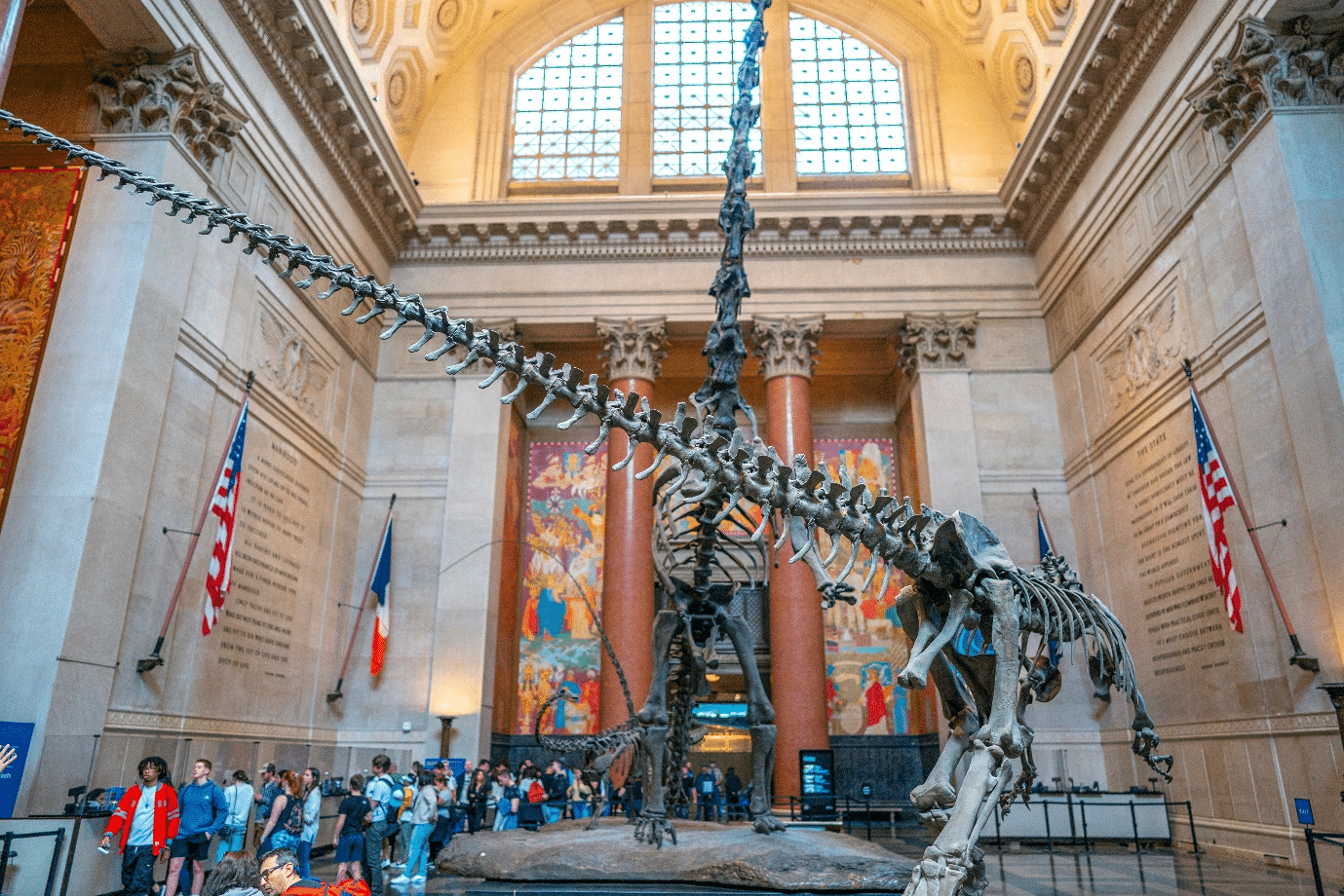 Natural History Museum