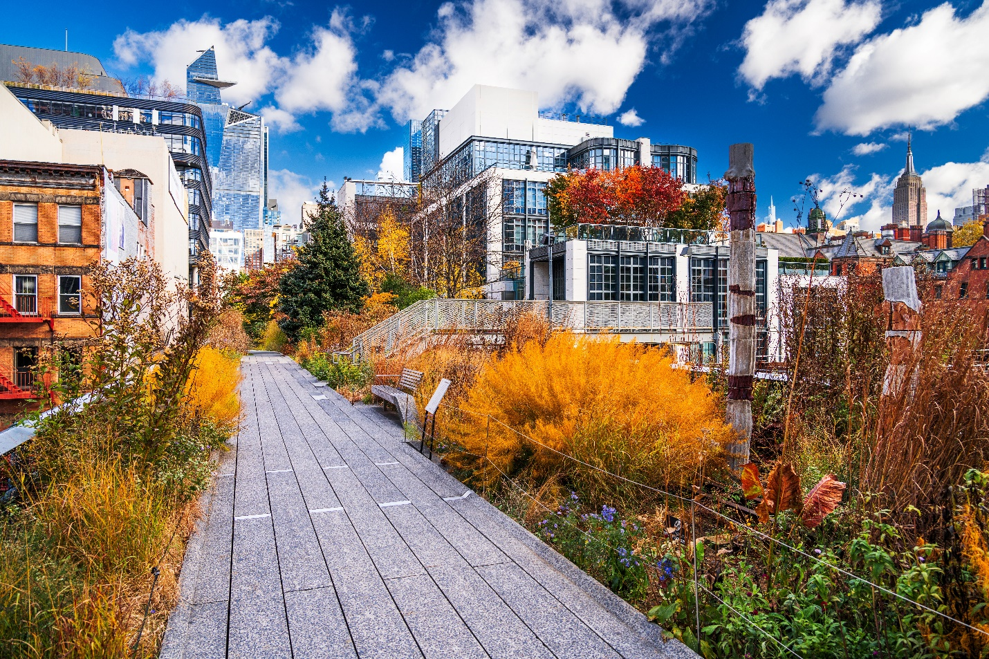 A park during fall seen during a one-day sightseeing tour