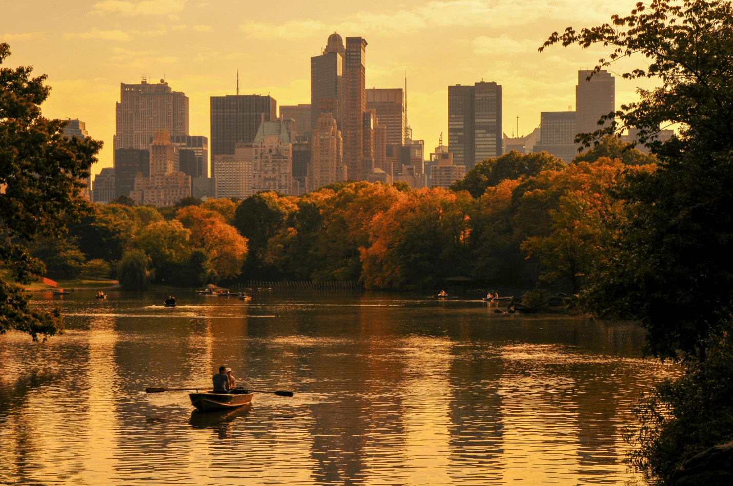 A person rowing a boat on a lake in Central Park at sunset