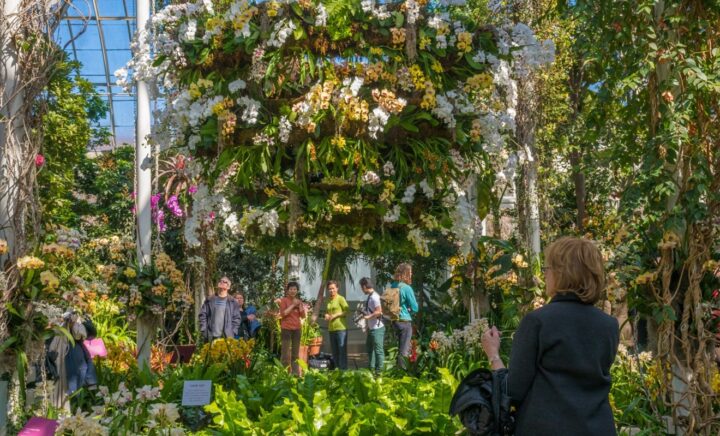 Botanical Garden