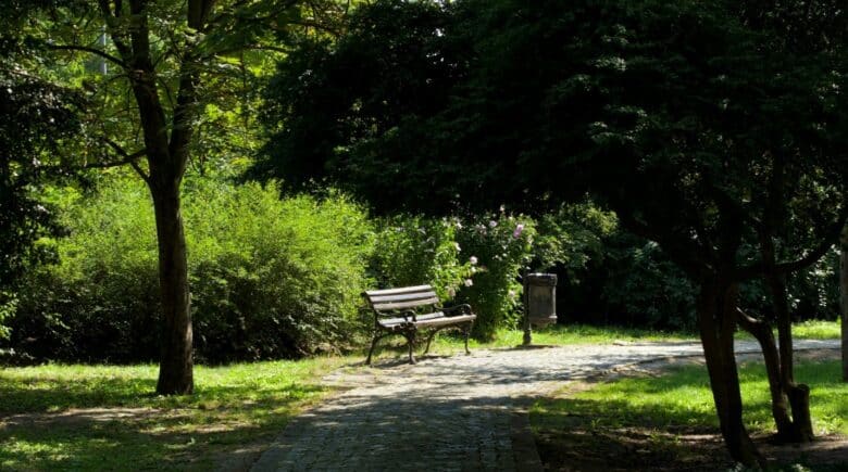 A park bench seen during a New York City travel guide