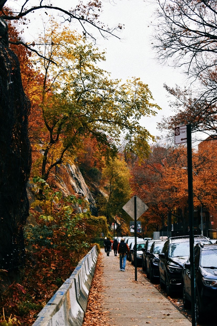 People walking in a park during fall in a one-day sightseeing tour