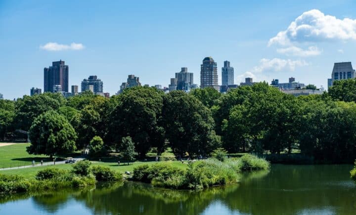 Bäume in einem Park, gesehen während eines New York City Reiseführers