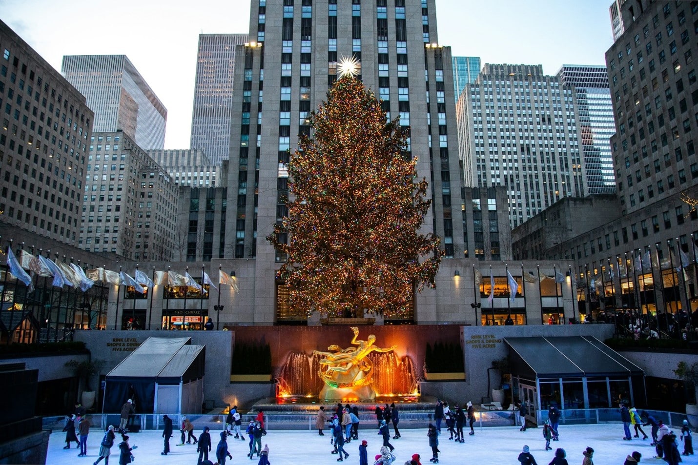 Ice rink with a Christmas tree seen during a New York City travel guide