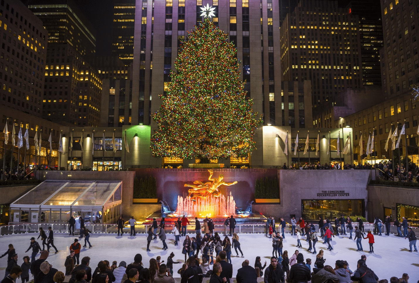 People ice skating during a small group tour in New York City