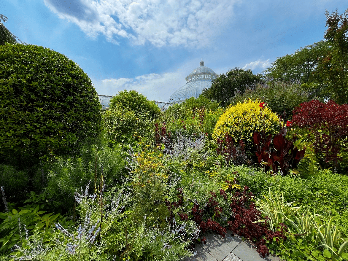 New York botanical garden